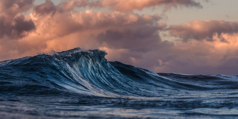 Dynamic surfing action with large waves